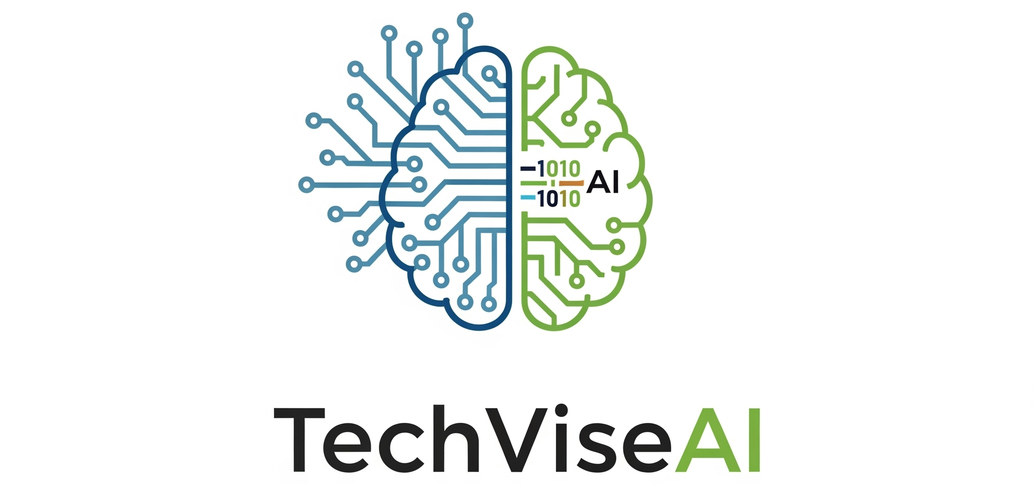 TechVise AI